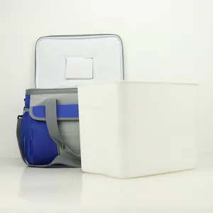 Cooler Lunch Bag with Removable Leakproof Plastic Hardliner Bucket