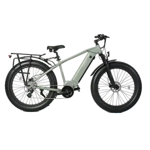 48V 15Ah Samsung Battery 500W Mid Drive Electric Fat Bike Tektro HD-E350 Hydraulic Disc Brake Shimano 8 Speed Ebike