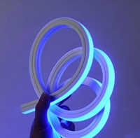Bande LED néon bleue 24V haute luminosité 10x10mm en silicone pour décoration de piscine, jardin, façade, boîte de nuit