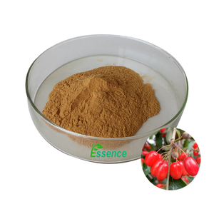 Extrait de plante naturel <span class=keywords><strong>Officinalis</strong></span> <span class=keywords><strong>Fructus</strong></span> <span class=keywords><strong>Corni</strong></span> Poudre d'extrait de cornouiller Extrait de Cornus <span class=keywords><strong>Officinalis</strong></span> - Product Image 1