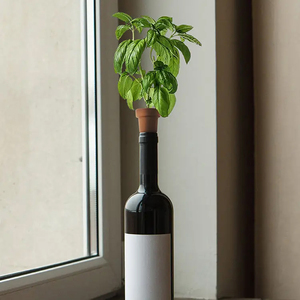 Jardinières à herbes en terre cuite à poser sur bouteille, pots à graines en terre cuite, jardinières d'intérieur pour herbes aromatiques, pots à herbes pour <span class=keywords><strong>rebord</strong></span> <span class=keywords><strong>de</strong></span> <span class=keywords><strong>fenêtre</strong></span> - Product Image 2