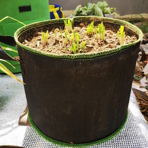 1 / 2 / 3 / 5 / 10 / 20 / 30 / 40 / 50 / 100 / 200/300 gallon vườn cung cấp thân thiện với môi thoáng khí thực vật Túi cảm thấy phát triển Túi - Product Image 5