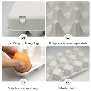 Bandeja para Huevos de Papel Biodegradable Ecológica, Embalaje de Pulpa Moldeada para Protección, Transporte, Almacenamiento y Distribución Minorista de Huevos - Product Image 3