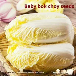 Semillas de Repollo Dorado de Cuatro Estaciones, de Crecimiento Rápido y Alto Rendimiento, Origen Hunan, Semillas de Vegetales para Siembra - Product Image 6