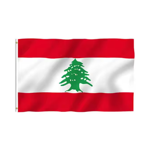 <span class=keywords><strong>Bandera</strong></span> de Kirguistán 2025 nueva <span class=keywords><strong>bandera</strong></span> nacional de poliéster impresa grande de 90X150 cm para decoraciones de fiesta - Product Image 3