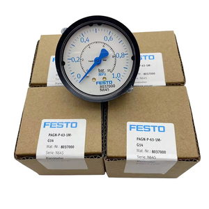 FESTOs PAGN Modular Panel Mount Pressure Gauge Precise Air Pressure Measuring Gauge For Pneumatic Air Source Treatment Assembly - Product Image 4