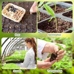 Plateaux de semis 50, 72, 98, 105, 128, 150, 162, 200, 260 cellules, colorés, sans BPA, pour légumes et <span class=keywords><strong>plantes</strong></span>, pour pépinière - Product Image 3