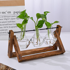 Glass Planter Bulb Vase Desktop Air Plant Terrarium With Solid Wooden Stand for Hydroponics Plants Home <b>Decor</b> - Product Image 2