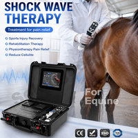 Appareil de thérapie par ondes de choc vétérinaire personnalisable pour bureau, machine de massage par ondes de choc pour la réduction de la douleur, pour clinique vétérinaire