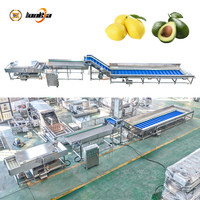 Duurzame Apple Roller Reinigingsmachines Fruit- en Groente Desinfectie Reinigingsmachine Mango's Was- en Sorteerlijnen