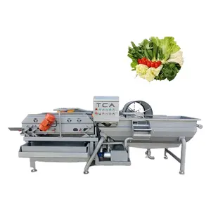 TCA fruit and vegetable production line fruit washing machine bubble washing and vortex washing machine for fruit and vegetables