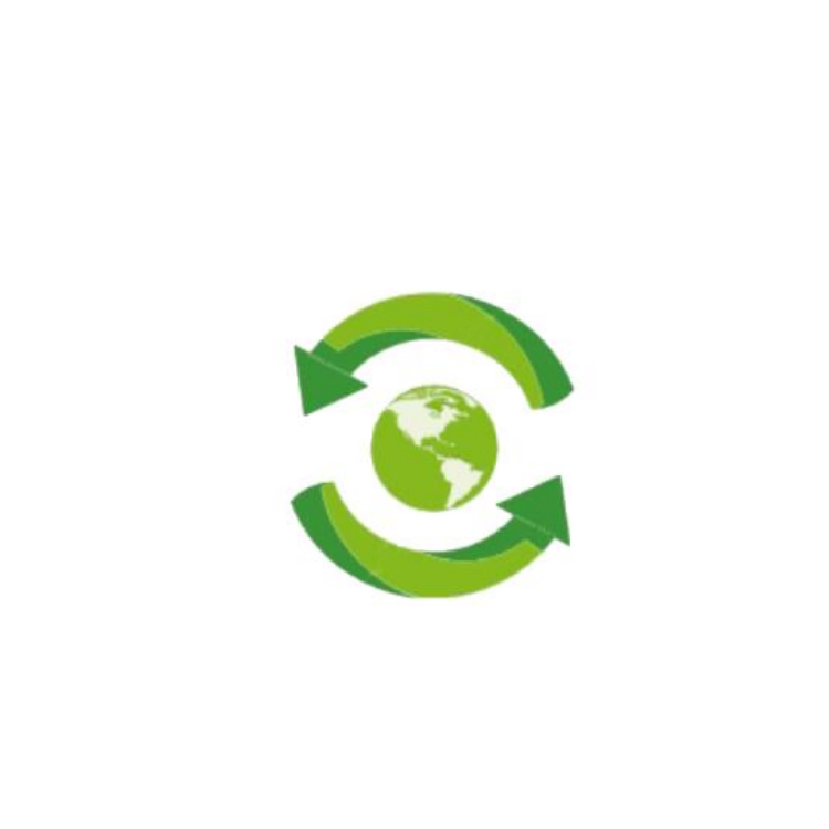 Hubei Xinsheng Technology Co., Ltd. logo