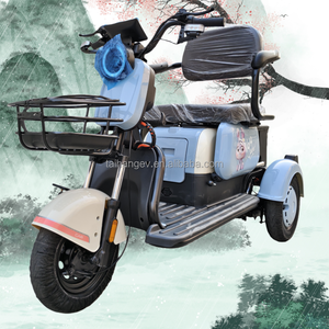 Tricycle électrique scooter pousse-pousse pour adultes, deux <span class=keywords><strong>places</strong></span>, <span class=keywords><strong>3</strong></span> vitesses, 600W, 48V - Product Image 2