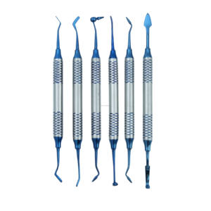Kit Professionale per la Cura Dentale, Stuzzicadenti Manuale, Specchietto Dentale, Raschietto per Tartaro, Strumenti per la Pulizia dei Denti, Modello Wellwer per Compositi Dentali - Product Image 6