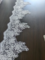 Bordure en dentelle brodée en maille transparente tricotée 100% polyester élastique pour lingerie féminine et accessoires textiles de maison