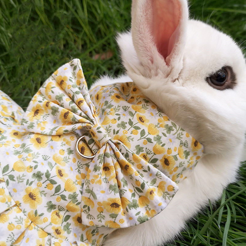 cute bunny dress Amazon.com : Rabbit Clothes Bunny Dress Floral Skirt with Bowknot Decor  Adjustable Harness with Leash Halloween Easter Costume Wear Small Animal  Accessory for Bunny Kitten Puppy Chinchilla Guinea Pig (M, Red) :