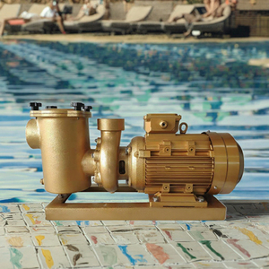 Bomba de Agua Eléctrica de Cobre de 5hp 380v para <span class=keywords><strong>Piscinas</strong></span>, Filtro de Latón, Bomba de Calor de 5hp para <span class=keywords><strong>Piscinas</strong></span>, Bombas de Piscina Eléctricas de 380v, Bombas Circuladoras de 3hp - Product Image 6