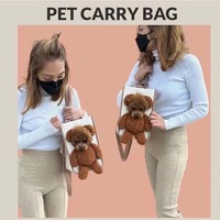 Sac à dos pour chien en forme de tête d'ours, grand, doux et mignon, vente en gros, sac à dos pour animaux de compagnie avec sangle