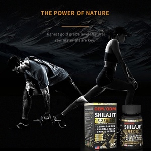 Supplément de Shilajit de l'Himalaya Booster d'énergie avec Ashwagandha Rhodiola Rosea Panax Ginseng Pure Shilajit Capsules Shilajit - Product Image 5