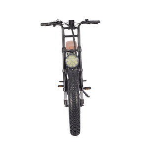 Bicicleta Eléctrica Todoterreno Barata de 20 Pulgadas y 1000W con Neumáticos Gruesos, Suspensión, para Playa, Crucero, Todo Terreno, E-Bike ATV08-1, Super Fat T - Product Image 5