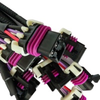 Câble de Faisceau de Câblage FFC en Cuivre Étamé OEM, Assemblage Nylon/PBT/Caoutchouc pour Appareils Électroniques Domestiques et Utilisation Moto, Indice de Protection IP65