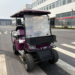 Nuevo Diseño, Carro de Golf con Motor de 4kw y Batería de 60v, Vehículo Turístico, Scooter de Golf, Motor de Alta Potencia que Ofrece un Rendimiento Inigualable - Product Image 6