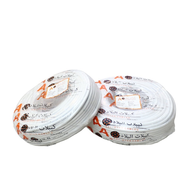H05VV-F 300/500V Yemen Market Wire 2*6mm 100yard Cable Pvc Insulated Electric Wire