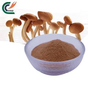 Poudre d'extrait végétal de champignon Tea Tree, 40% de polysaccharides, Agrocybe <span class=keywords><strong>Aegerita</strong></span>, fourniture d'usine pour compléments alimentaires - Product Image 3