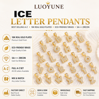 LUOYUNE OEM&ODM Pendentifs Breloques pour Colliers, Plaqué Or 18K, Laiton Personnalisé, Zircon, Style Hiphop, Unisexe, Forme Lettre, Cadeau/Fête