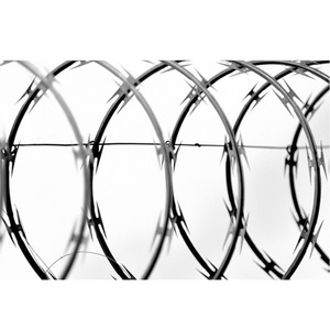 Alambre de púas tipo rasuradora BTO-22, galvanizado, en rollo, para cercas anti-escalada - Product Image 3