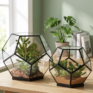 Large Glass Globe <b>Terrarium</b> <b>Kit</b>, Home and Living, Beach <b>Terrarium</b> wholesale geometric Desktop Sphere - Product Image 3