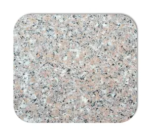 Direct Sale G681 Shrimp Pink Granite Tile for Wall Panel Paver Stairs Steps Riser Outdoor Flooring Stone