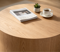 Ensemble de tables basses en bois au design moderne, table centrale simple de haute qualité pour salon, livraison immédiate, mobilier de maison