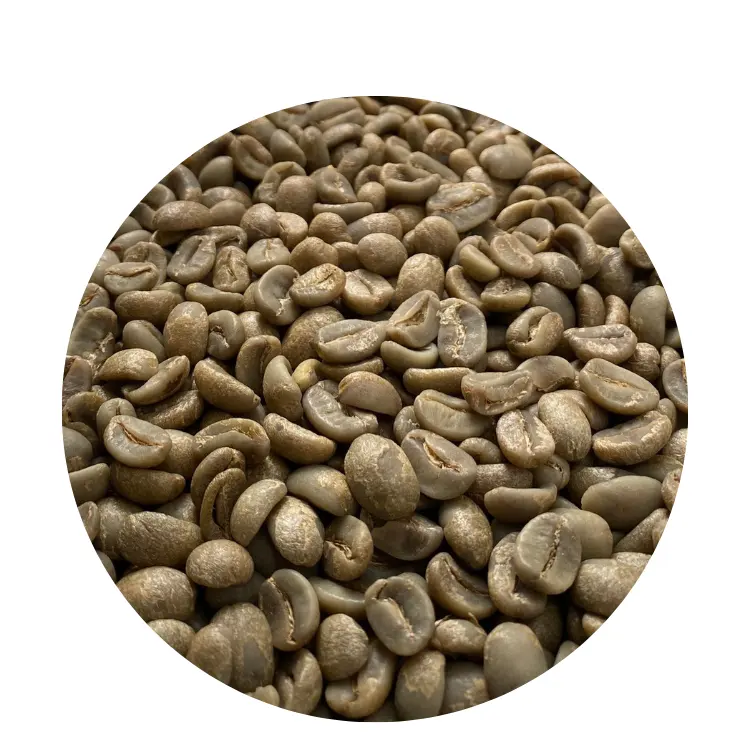 Feijão Verde Robusta Preço baixo Vietnã Grãos De Café Verde Raw Private Label Coffee Oem Service Juta Bag Vietnã Produto