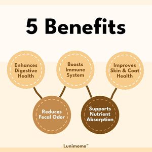 Lunimomo Pre+Probióticos para Mascotas, 7.3 Mil Millones de UFC, Polvo para Perros y Gatos - Product Image 2