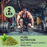 Poudre de Protéine de Lactosérum Transfrontalière Saveur Matcha Complément Nutritionnel Sportif 2,2 lb