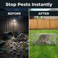 Piège à cage pliable robuste |   Cage de capture en acier galvanisé pour chats, lapins, ratons laveurs et petits animaux