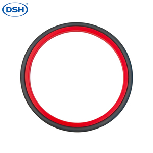 DSI Staubdichtung PU NBR FKM Material Maßgefertigte Hydraulik-Wischdichtung Ölbeständig Verschleißfest für Bagger Baumaschinen - Product Image 2
