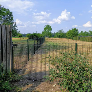 Châu Âu Vật Liệu Xây Dựng Siêu Thị 'An Ninh Hàng Rào Kim Loại Dây Lưới Hàng Rào Cho Vườn Sử Dụng Cung Cấp Trực Tiếp Từ Nhà Máy - Product Image 6