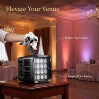 Projecteur LED RGBW Slim Par Light GMT Maite étanche 16x10W IP65 Ra95 avec DMX512 pour usage extérieur