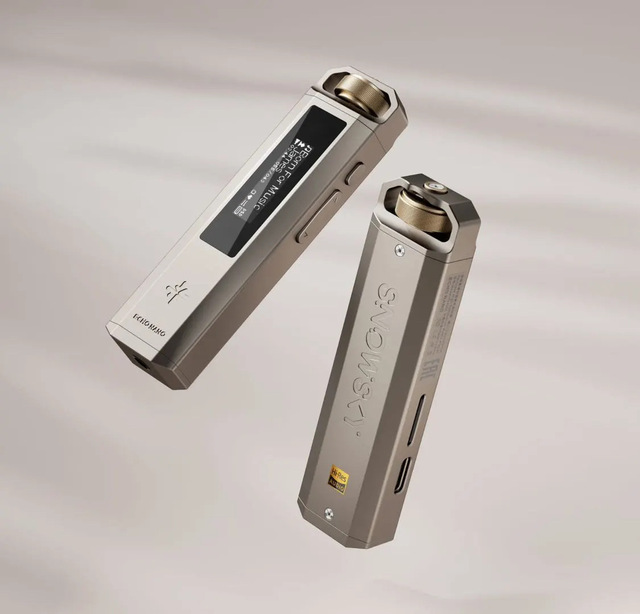 FiiO ECHO NANO Portable Lossless Hifi MP3 Music Player Dap Music Player for Audiophiles Portable Mini Mp3 High Resolution Audio