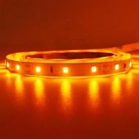 1800K Bernstein-Orange 12V LED-Streifenlicht SMD 2835 IP65 24V 3528 5050 Gelb Bernstein Weiß LED-Streifenlichter