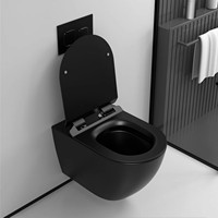 WC suspendu mural européen MWD, cuvette de toilette Tornado, en céramique mate colorée, pour salle de bain
