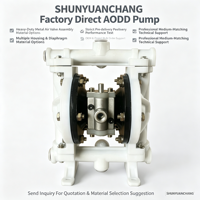 Pompe à double diaphragme haute pression à commande pneumatique avec valve d'air métallique OEM, résistante à la corrosion, en PP PVDF AODD pour le transfert de produits chimiques