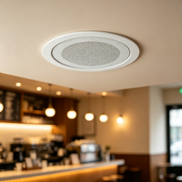 Haut-parleur encastré au plafond, pleine gamme 90-16000Hz, son pour hôtel, centre commercial, restaurant, école, musique d'ambiance publique