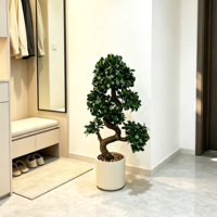 Arbre Bonsaï Ficus Artificiel Moderne en Plastique Écologique Léger avec Tronc Torsadé Simulé Ficus Microcarpa pour Table de Maison