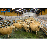 Abri pour moutons en acier à faible coût, bâtiment préfabriqué pour élevage, étable à vaches, abri pour animaux