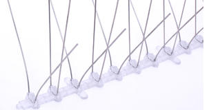 Púas Antipájaros de Acero Inoxidable Sólido al por Mayor, Control de Plagas Casero, Disuasivo para Techos y Ventanas, Repelente de <span class=keywords><strong>Palomas</strong></span> Anti-Escalada - Product Image 6