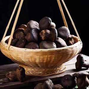 DETAN Exporta Hongos Frescos de la Espécie Wild <span class=keywords><strong>Boletus</strong></span> Pornici - Product Image 6