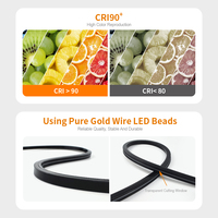 SHINESKY Sin punto Sin sombra Luz suave 16x15mm Tira de neón de silicona negra Impermeable IP67 DC24V Luz de neón Led flexible